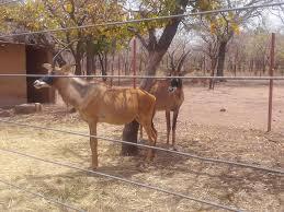 Image Ferme de Wedbila 