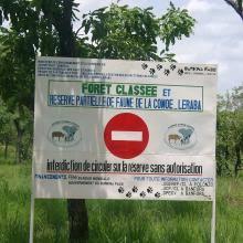Image Forêt Comoé-Léraba 